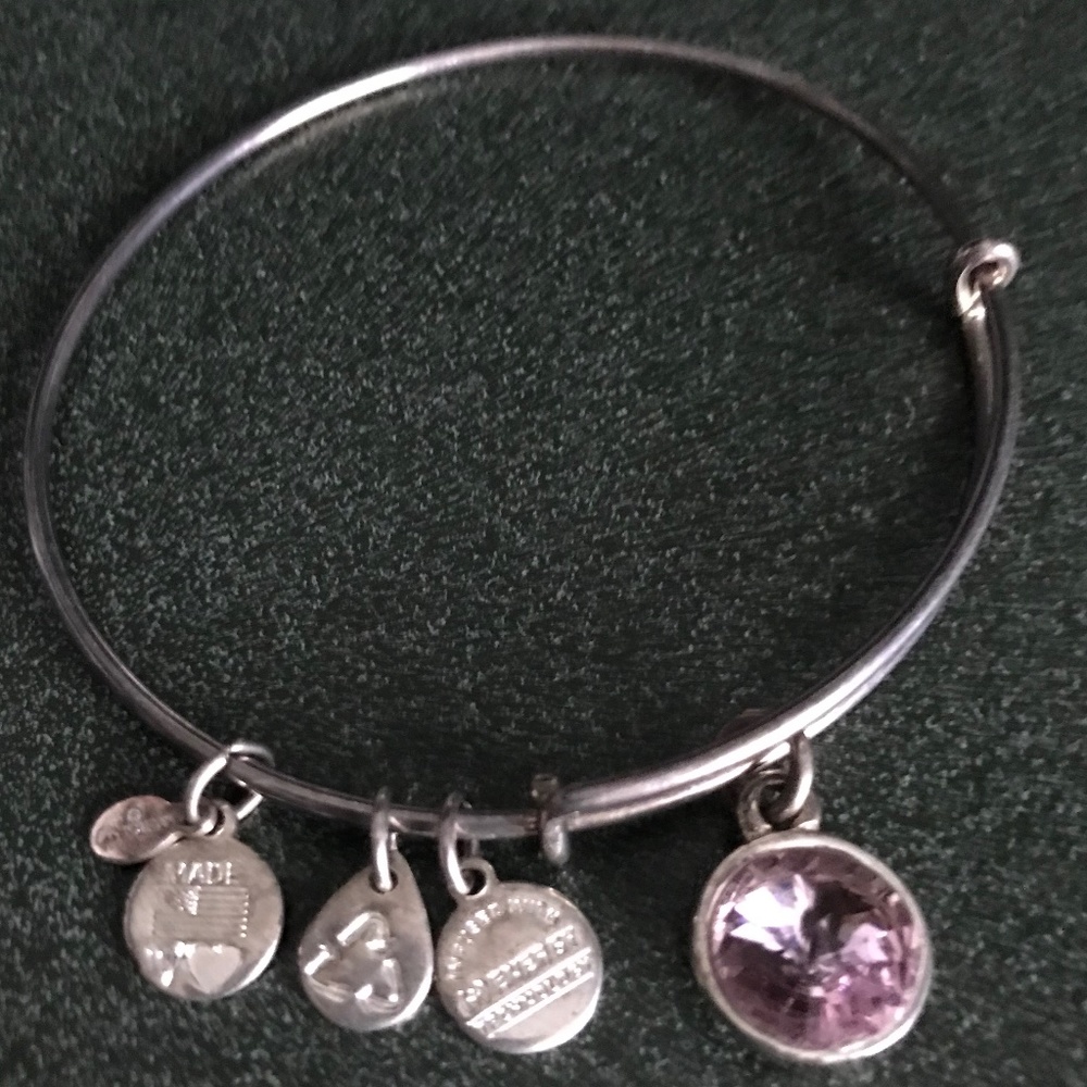 Alex and Ani Expandable Wire Bracelet Pink Charm